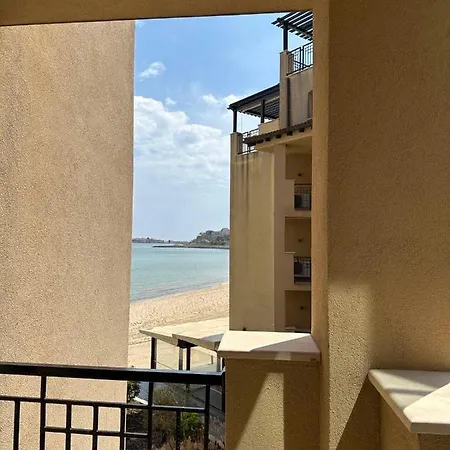 Oazis Vip Club Sunny Beach