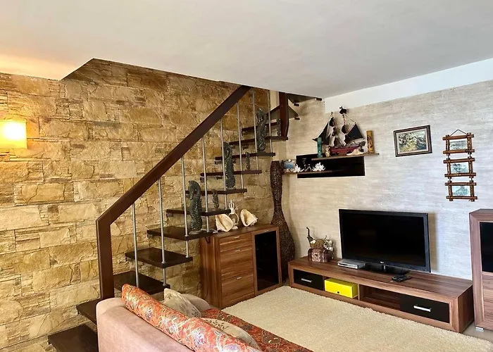 Oazis Vip Club Napospart