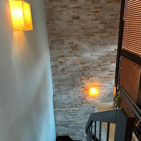 Oazis Vip Club 3* Σάνι Μπιτς