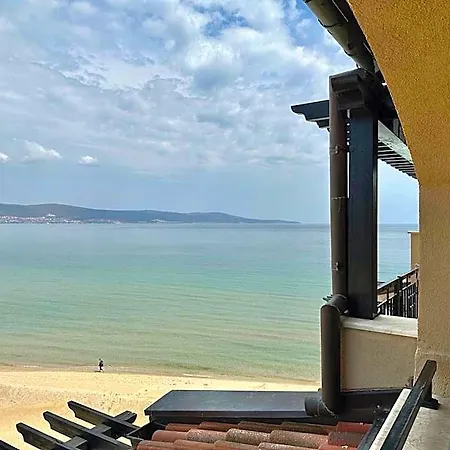 Oazis Vip Club Sunny Beach
