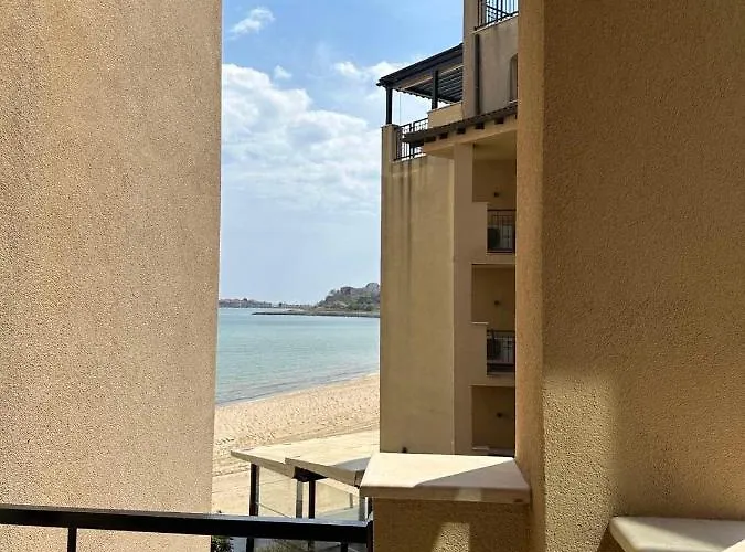 Oazis Vip Club 써니비치